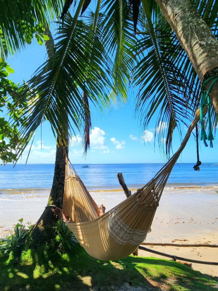 Instagram post from colibriboipeba. This post is in position 3.
