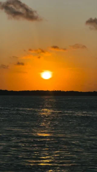Instagram post from colibriboipeba. This post is in position 2.
