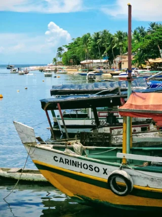 Instagram post from colibriboipeba. This post is in position 4.