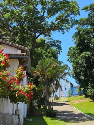 Instagram post from colibriboipeba. This post is in position 8.