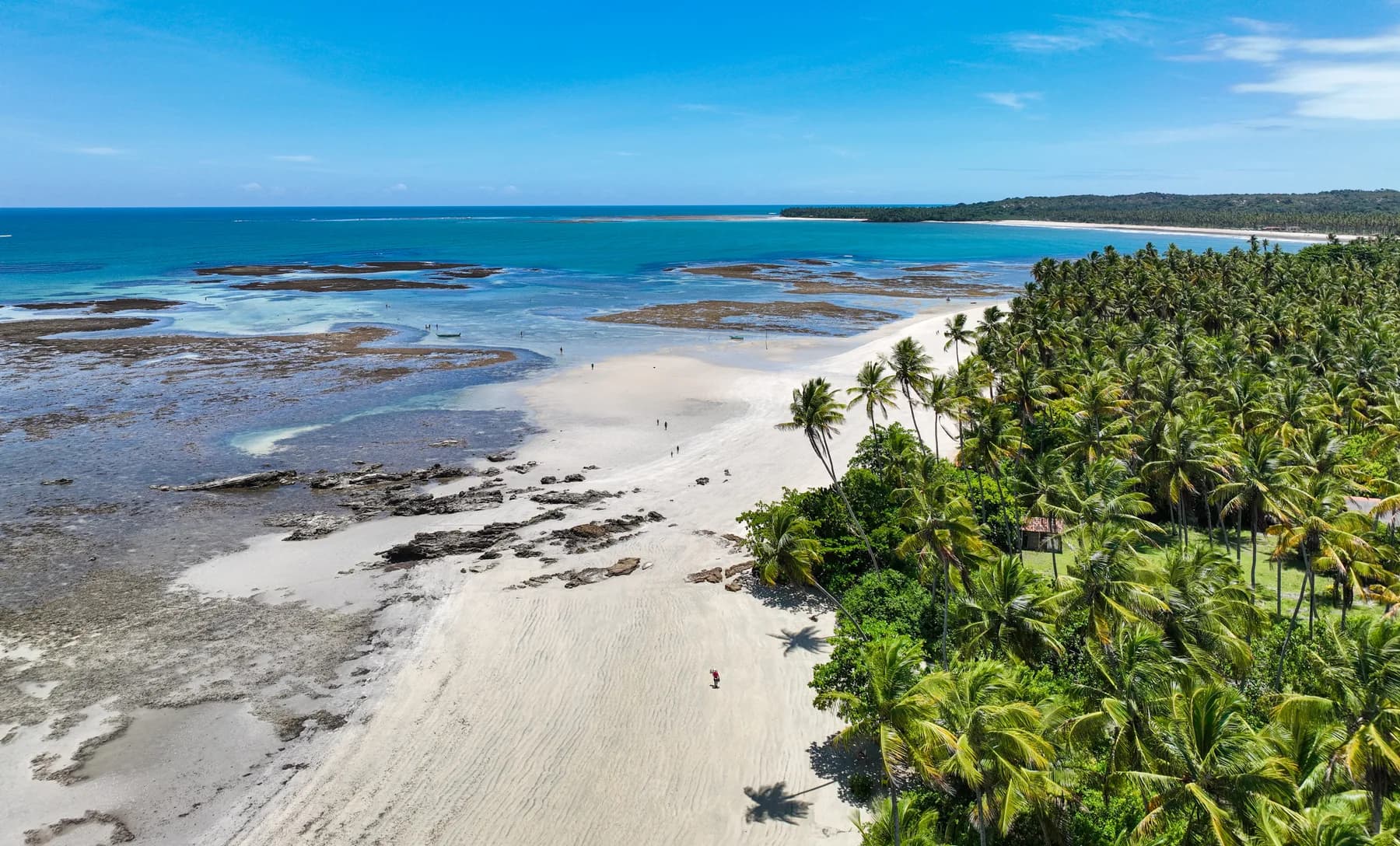 Vista aérea da costa de Boipeba com coqueirais, areia e piscinas naturais