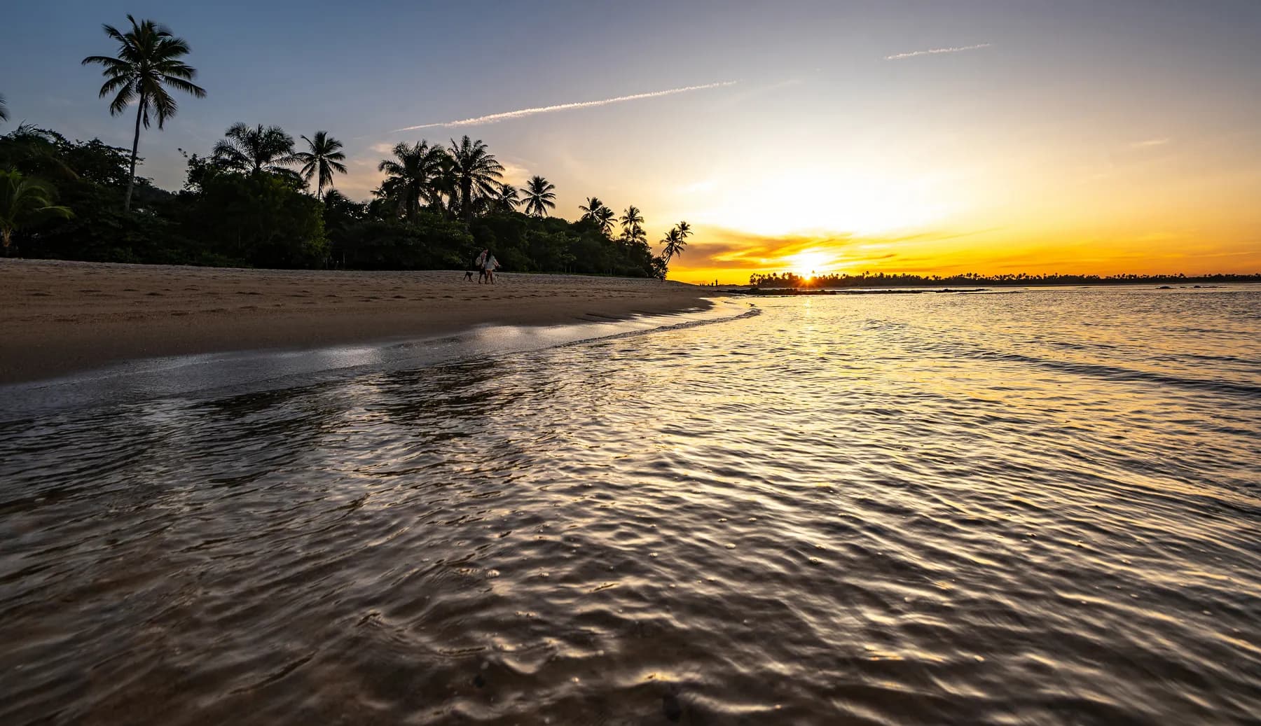 Barco e praia de Boipeba no fim da tarde